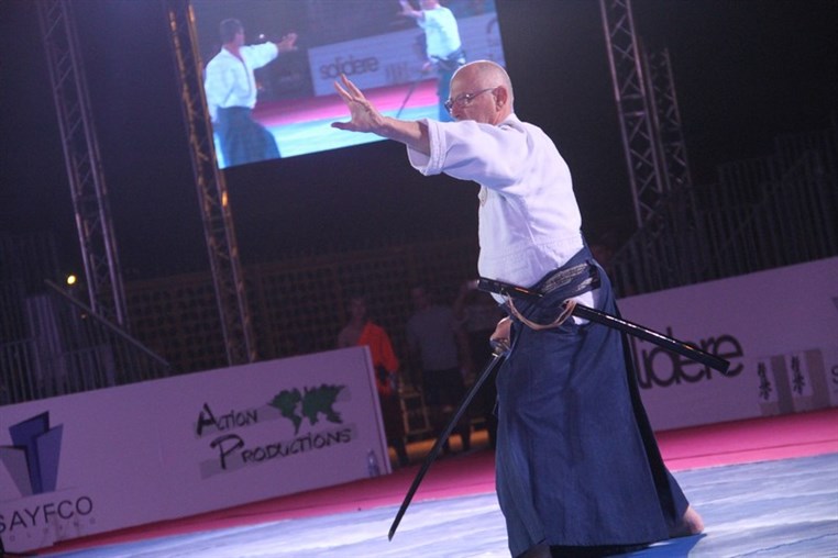 Martial Arts Festival